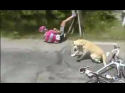 Man vs. Dog at the Tour de France