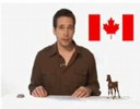 "Canada vs. America: Whose kittens are cuter?" 